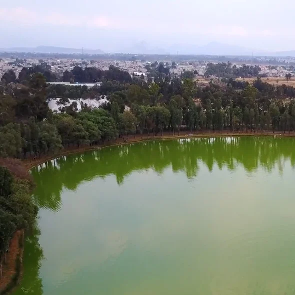 Bosque de Tláhuac