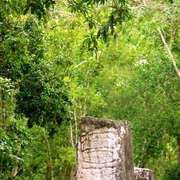 Reserva de la Biosfera de Calakmul