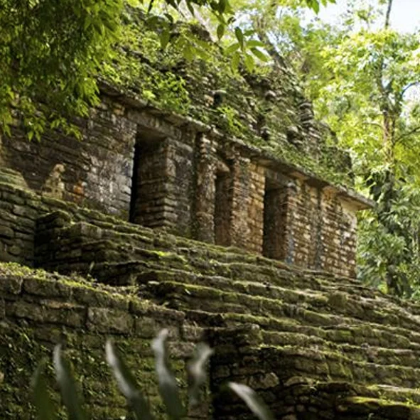 Yaxchilán: Una Aventura Selvática al Corazón del Mundo Maya