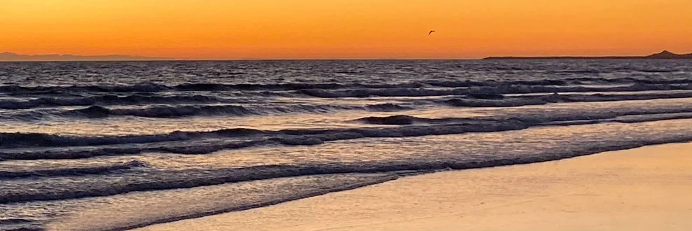 Mejores Playas de Puerto Peñasco