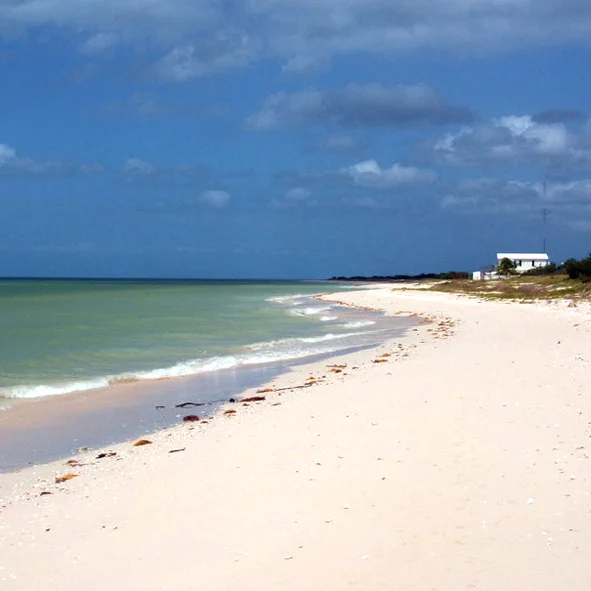Playas de Celestún Yucatán