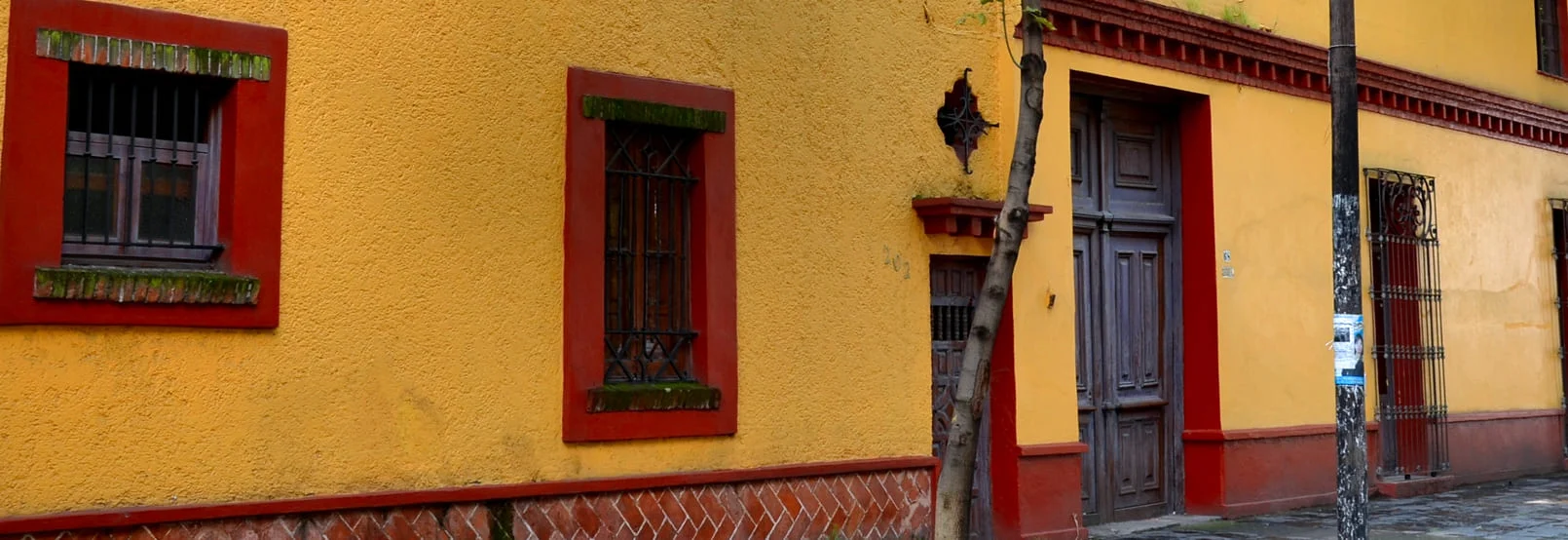 Foto Galería
