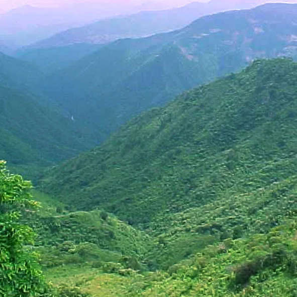 Sierra de Juárez 