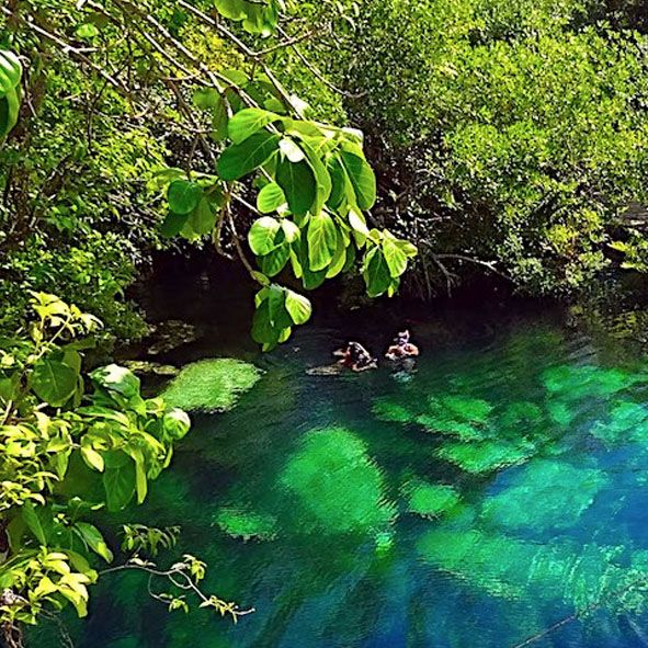 Conoce los Cenotes en Riviera Maya