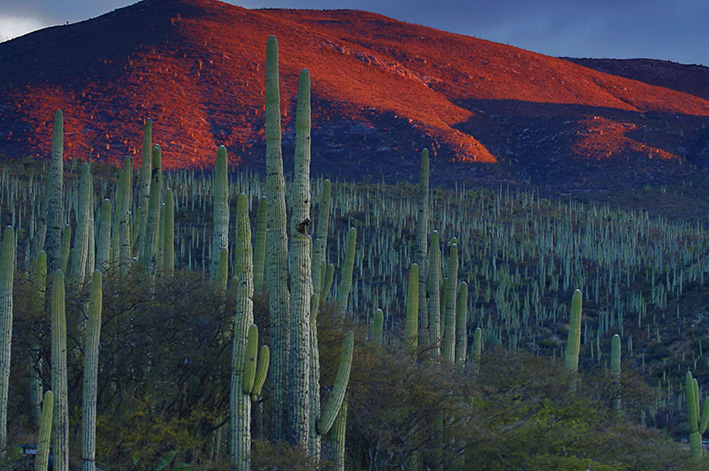Rutas Turísticas en México