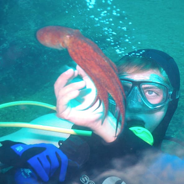 Buceo en Ixtapa – Zihuatanejo