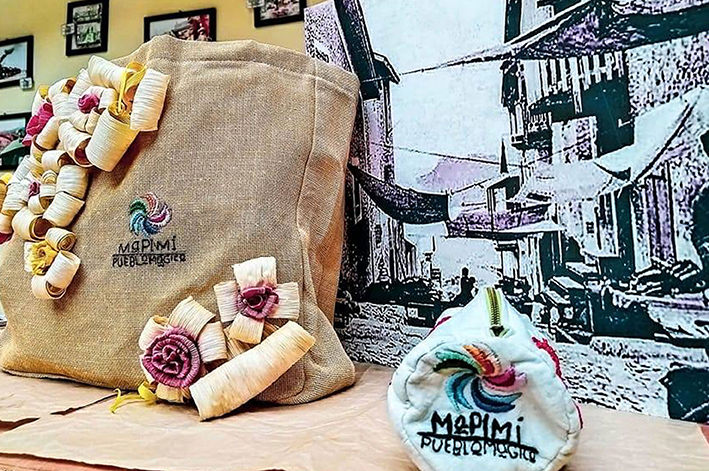 COMPRAS-MAPIMÍ