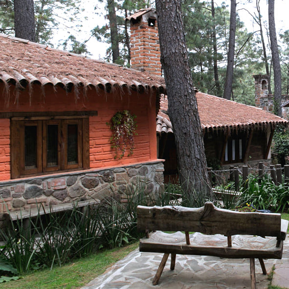 Disfruta de la naturaleza en una cabaña en Mazamitla – MAZAMITLA, PUEBLOS MÁGICOS