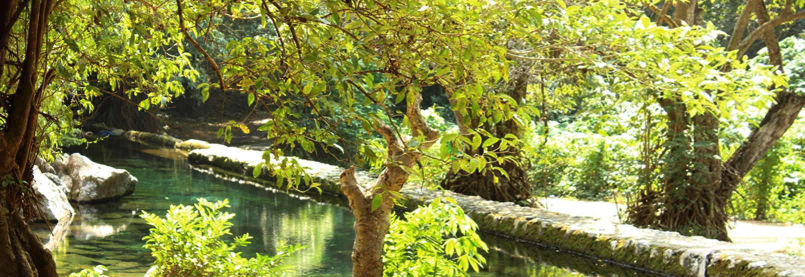 Parques recreativos colima
