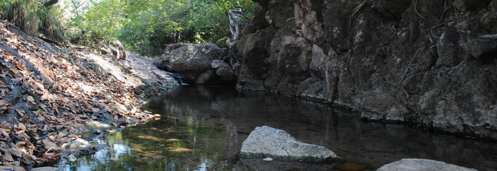 Parques recreativos nayarit