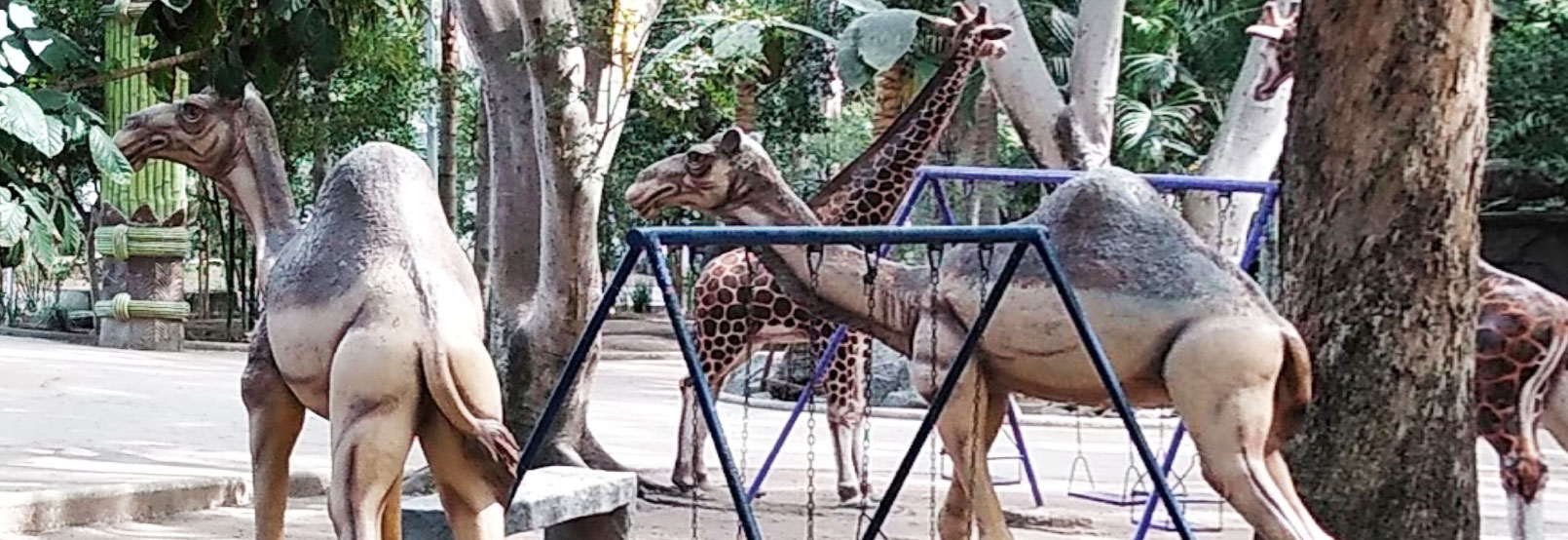 Parques recreativos nayarit