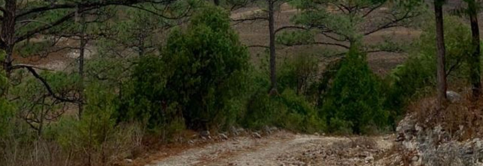 Parques recreativos Tamaulipas