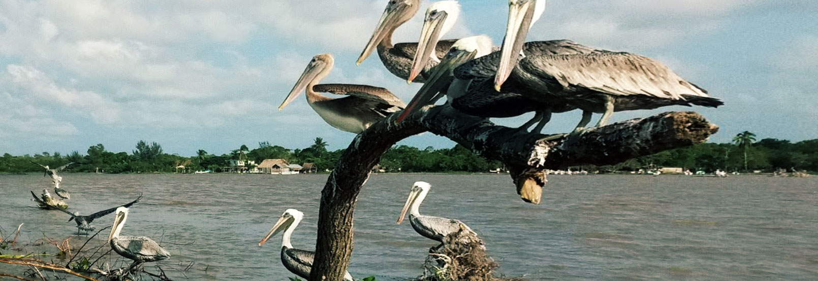 Parques recreativos Veracruz