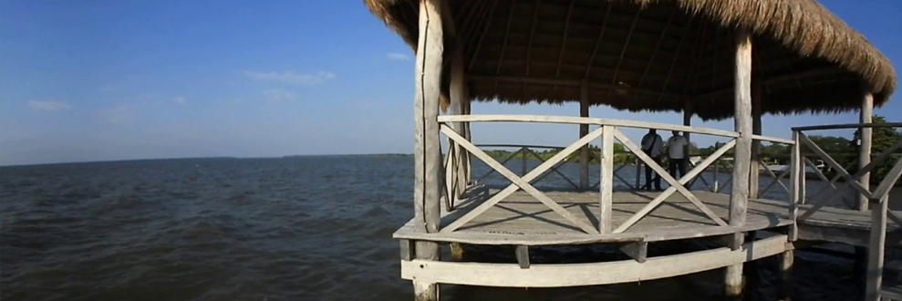 banner