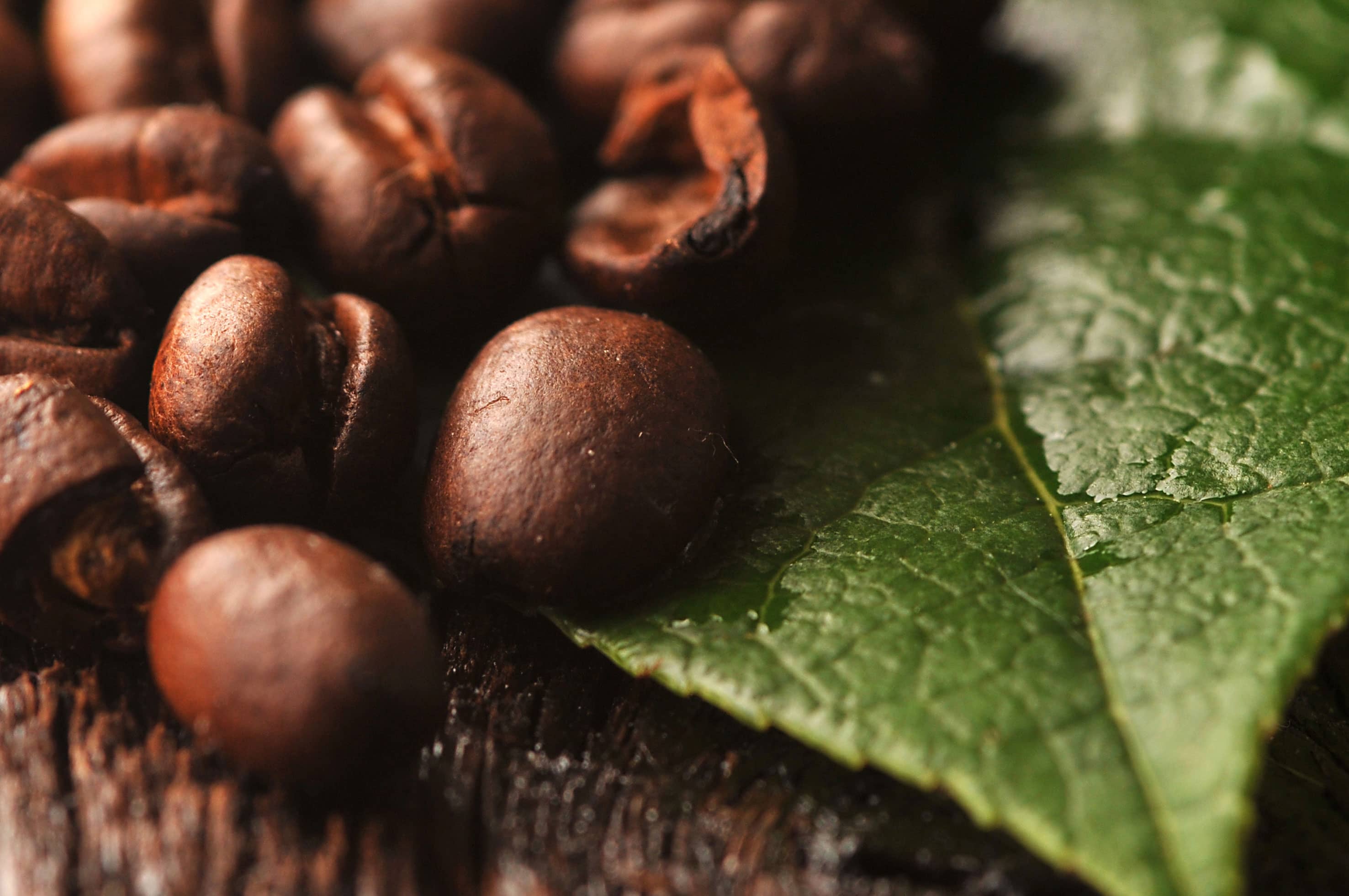 Fincas Cafetaleras en Huatulco
