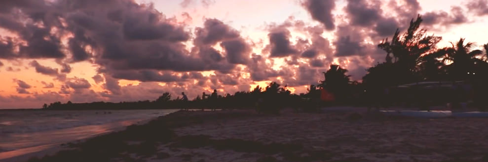 banner