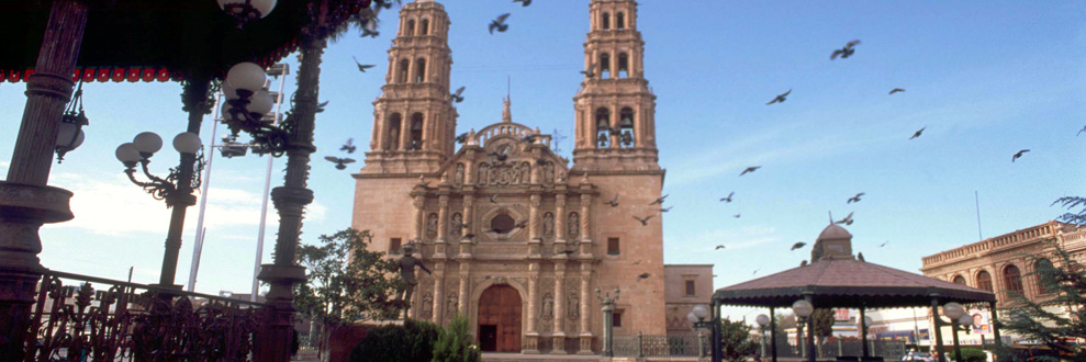 chihuahua