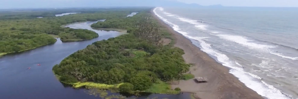 colima
