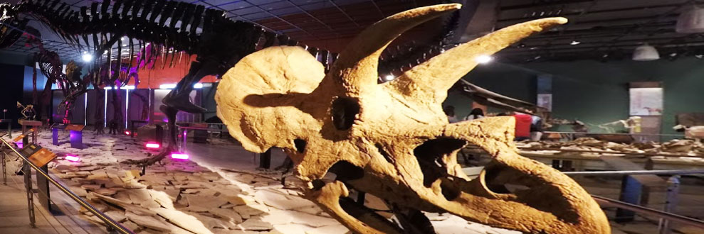 museos nuevo laredo