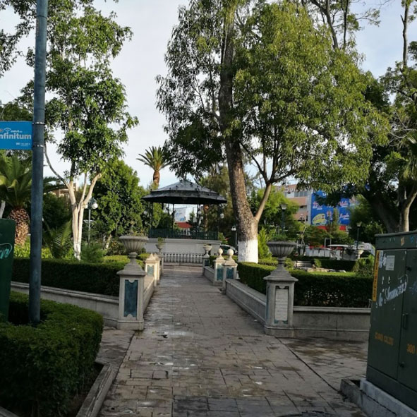 Parque Juárez