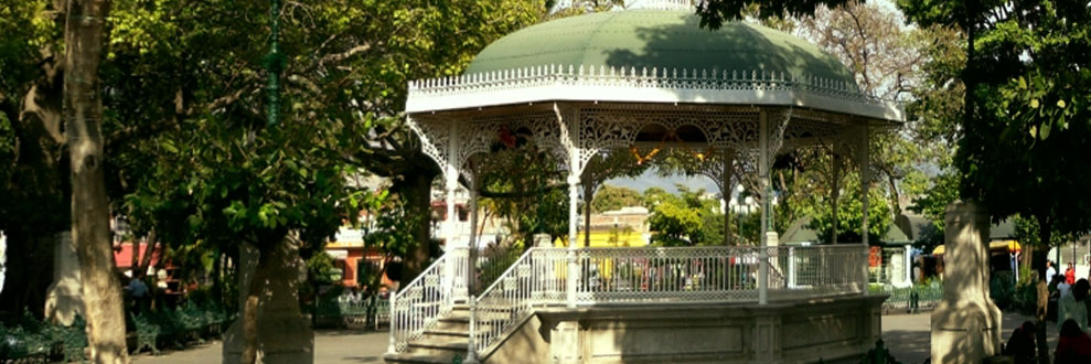 banner
