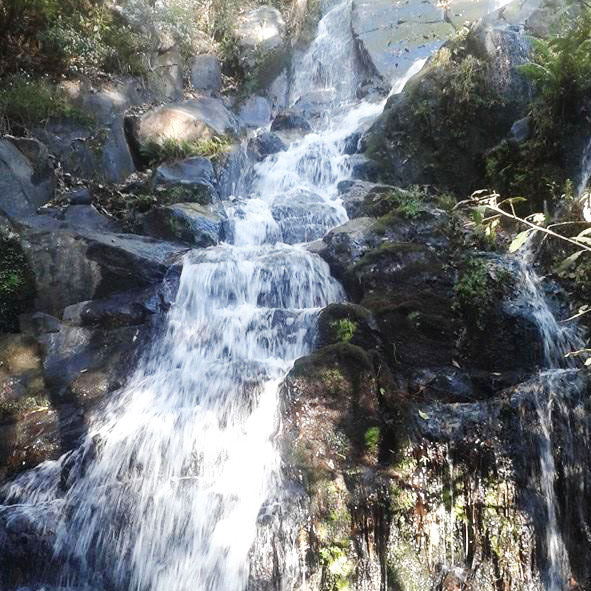 Cascada La Ciénega