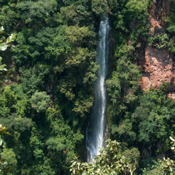 Salto de Tecolotlán