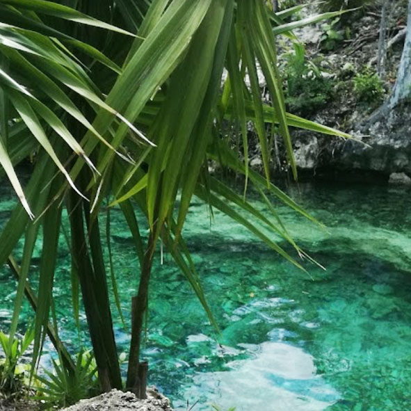 Cenote-Santa-Cruz