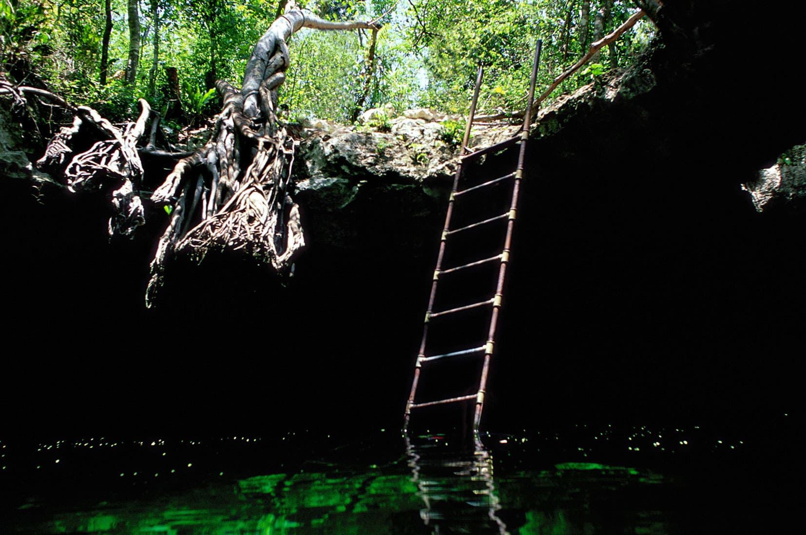 Rutas de los Cenotes en Puerto Morelos