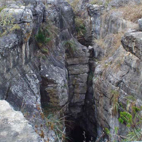 Sótano de Joya de Salas