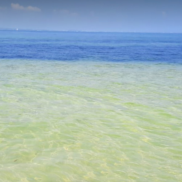 Cancuncito