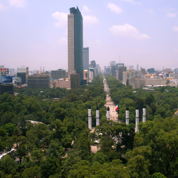 Visitar la Torre Mayor