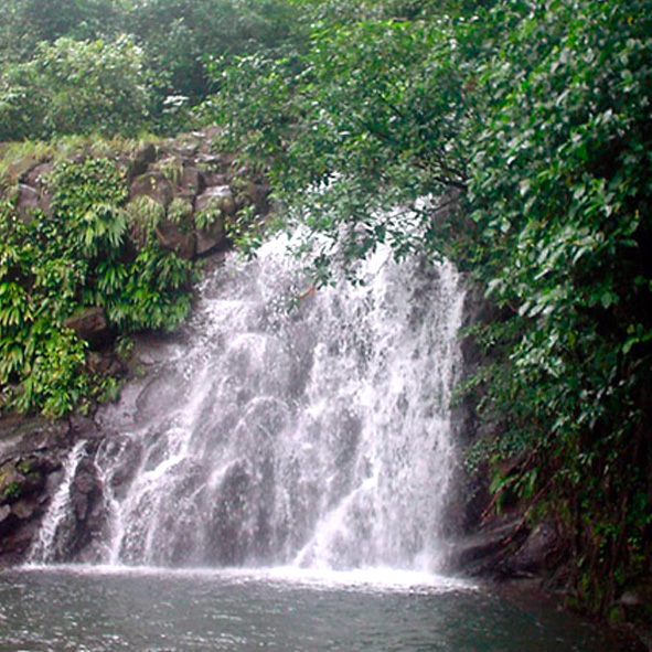 Visitar la Cascada de Ojoxapan – VERACRUZ, MARAVILLAS NATURALES