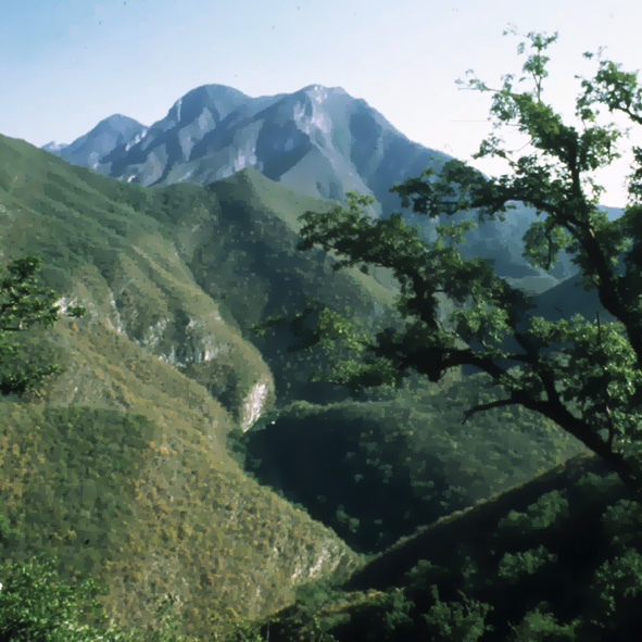 Explorar las Cumbres de Monterrey – NUEVO LEÓN, MARAVILLAS NATURALES