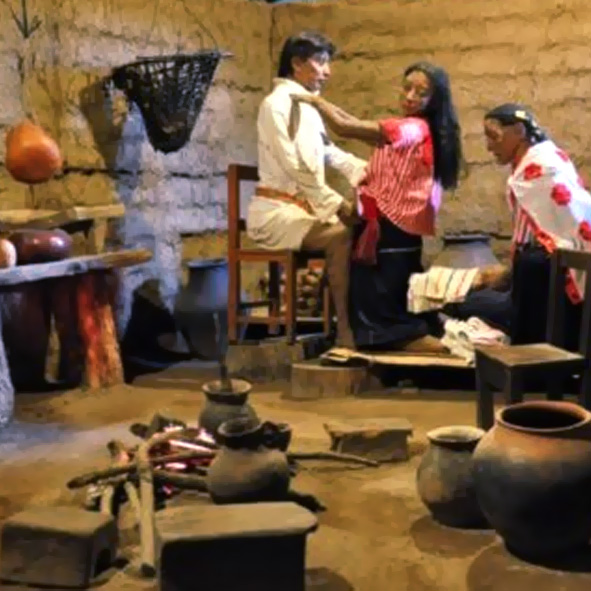 Visitar el Museo de la Medicina Maya – SAN CRISTÓBAL DE LAS CASAS, MUSEOS