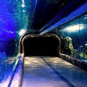 Acuario Inbursa