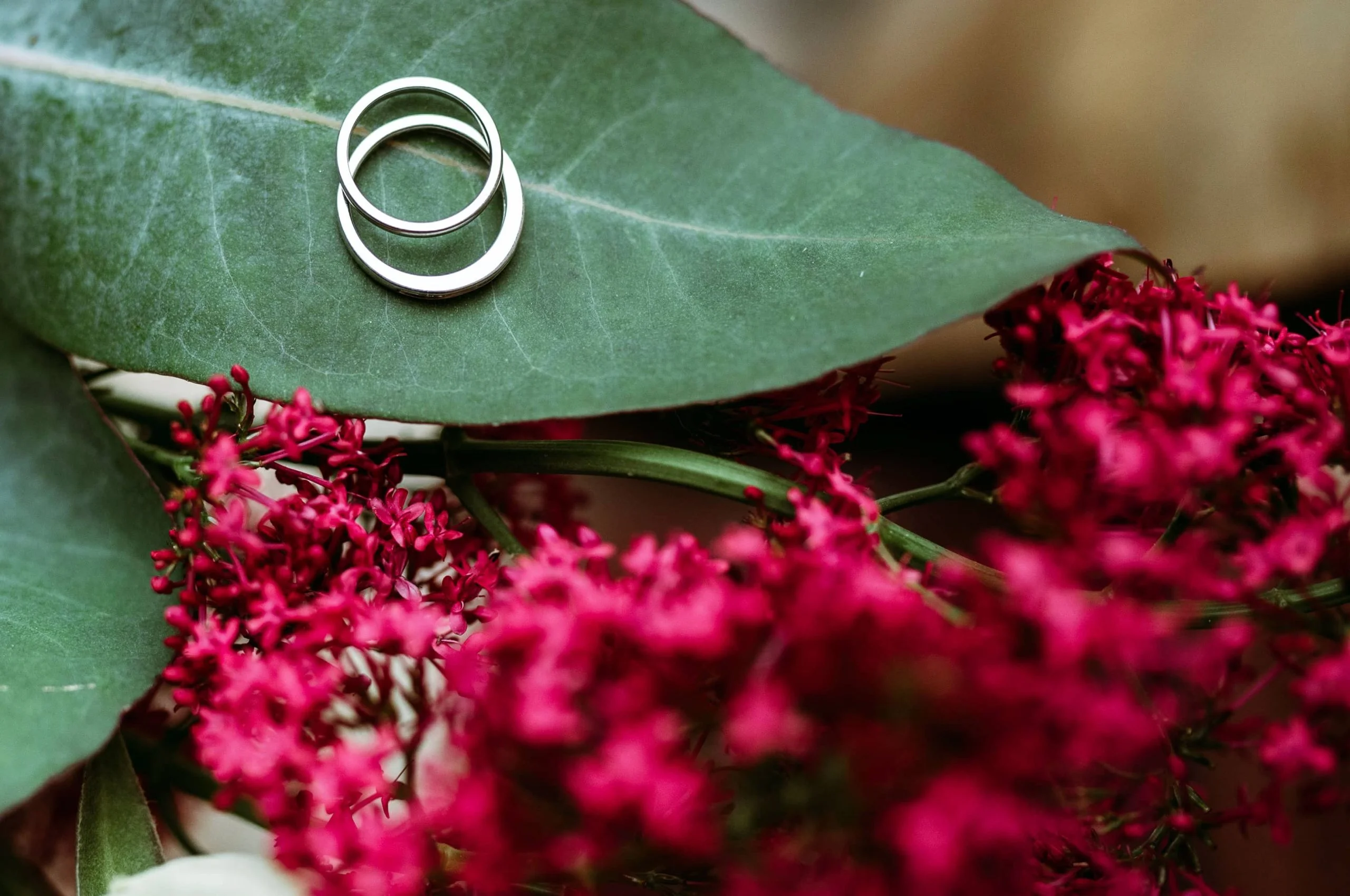 Bodas y Romance en México