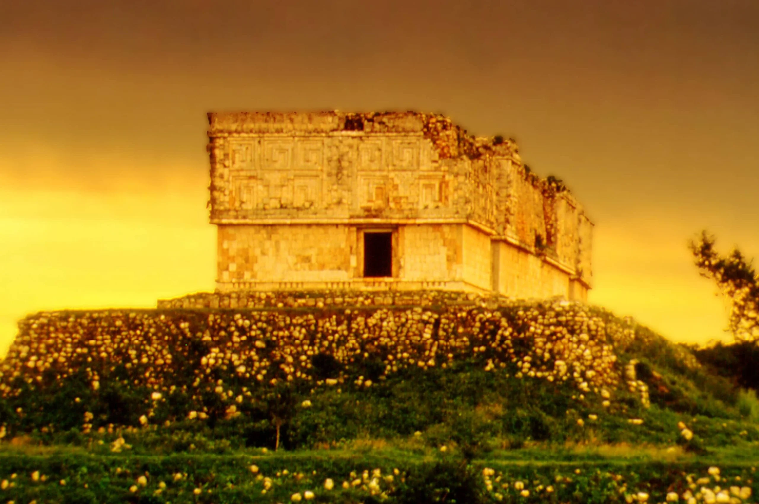 Foto Galería