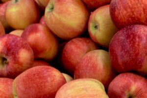 Gastronomía de Zacatlán