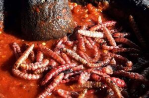 Gastronomía de Pachuca