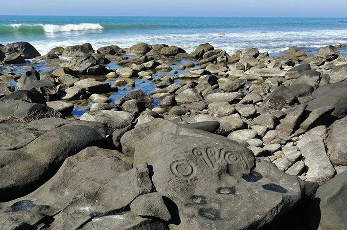 Foto Galería