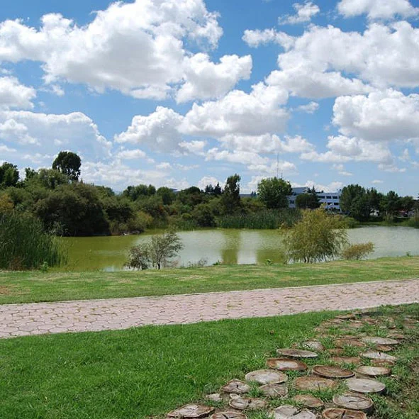 Jardín Botánico Universitario