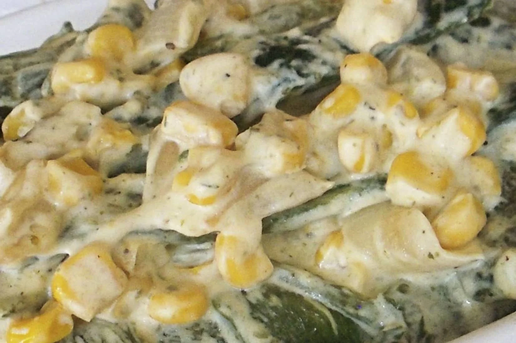 Foto Galería
