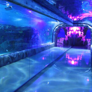 Acuario Inbursa