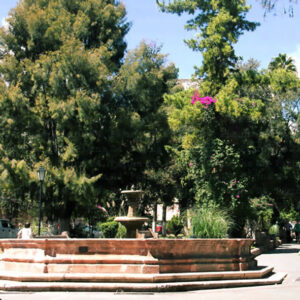 Alameda Trinidad García de la Cadena