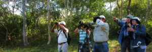 Aventura y Ecoturismo en Campeche