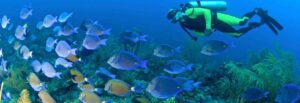 Aventura y Ecoturismo en Costalegre