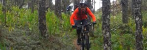 Aventura y Ecoturismo en Oaxaca