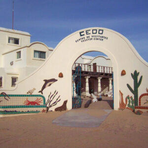 CEDO Puerto Peñasco