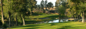 Golf en San Miguel de Allende